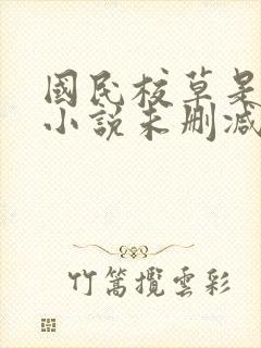 国民校草是女生小说未删减版