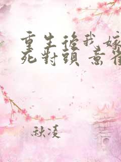 重生后我嫁给了死对头 意雀