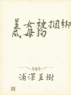 美女被捆绑调教成母狗