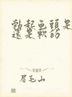 勃起龟头是硬的还是软的