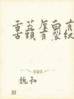 舌苔厚白有齿痕舌头有裂纹