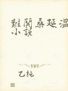 难哄桑延温以凡小说