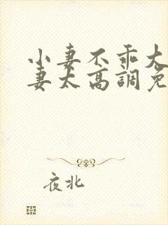 小妻不乖大佬宠妻太高调免费阅读