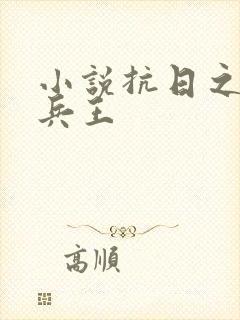 小说抗日之特战兵王