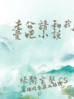 老公请和我谈恋爱吧小说