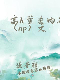 高h荤爽肉欲文〈np〉文