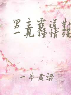 男主霸道对女主一见钟情强取豪夺