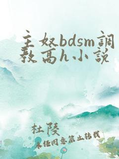 主奴bdsm调教高h小说