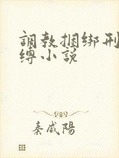 调教捆绑刑具束缚小说