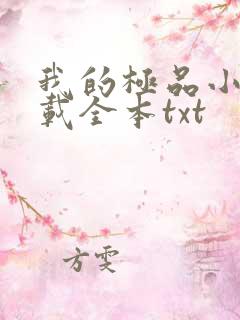 我的极品小姨下载全本txt