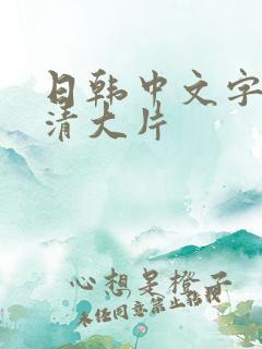 日韩中文字幕高清大片