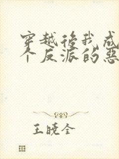 穿越后我成了三个反派的恶毒后娘小说