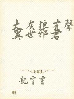 大灰狼有声小说异世邪君