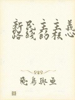 新民主主义革命路线的核心是( ).