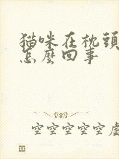 猫咪在枕头上尿怎么回事