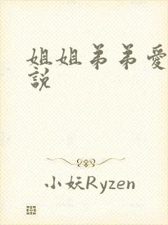 姐姐弟弟爱爱小说
