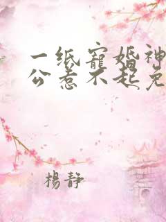 一纸宠婚神秘老公惹不起免费阅读