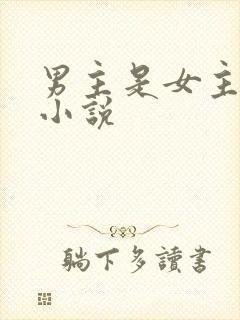 男主是女主继兄小说