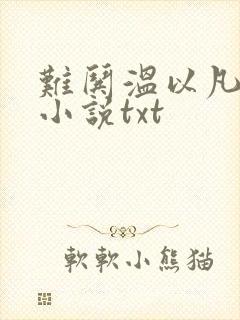 难哄温以凡桑延小说txt