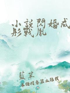 小说闪婚成宠海彤战胤