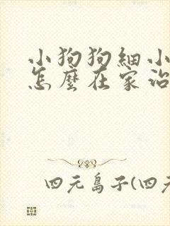 小狗狗细小犬瘟怎么在家治疗