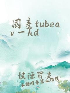 国产tubeav一hd