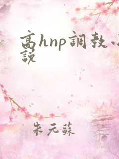 高hnp调教小说