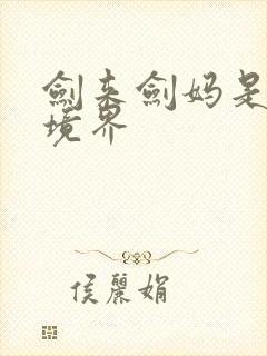 剑来剑妈是什么境界