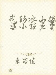 我的冰山总裁老婆小说免费完整版