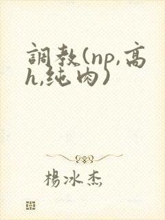 调教(np,高h,纯肉)