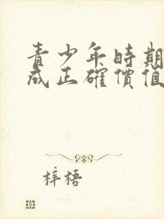 青少年时期是养成正确价值观的关键时期