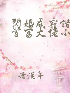 闪婚成宠错嫁了首富大佬小说