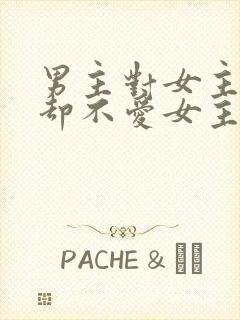 男主对女主很好却不爱女主