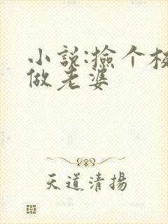 小说:捡个校花做老婆