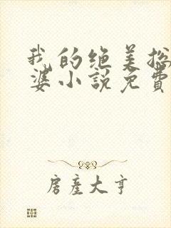 我的绝美总裁老婆小说免费