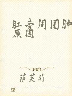 肛旁周围肿块的原因