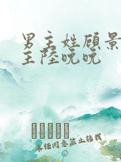 男主姓顾景琛女主陆晚晚