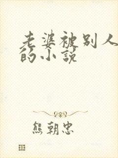 老婆被别人调教的小说