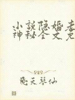 小说隐婚老公太神秘全文免费阅读
