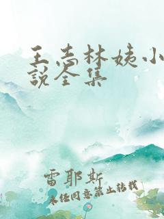 王志林姨小志小说全集