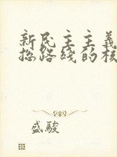 新民主主义革命总路线的核心是: