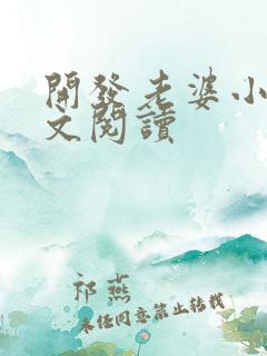 开发老婆小说全文阅读