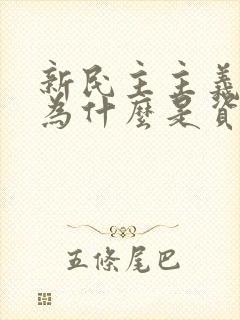 新民主主义革命为什么是资产阶级性质