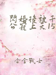 闪婚后被千亿老公宠上天15