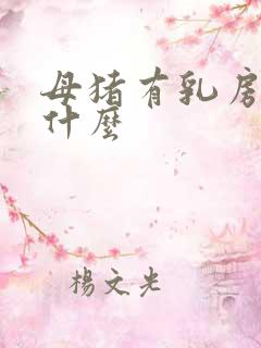 母猪有乳房炎用什么