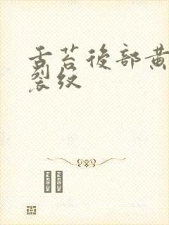 舌苔后部黄腻有裂纹