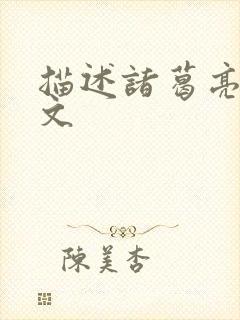 描述诸葛亮的作文