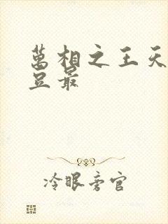 万相之王天蚕土豆最