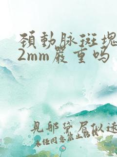 颈动脉斑块4.2mm严重吗