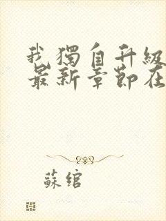 我独自升级小说最新章节在线阅读